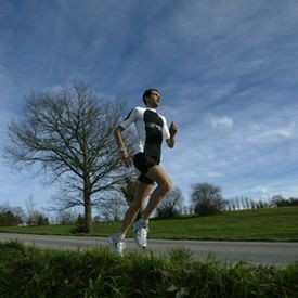 L'entrainement, Travailler mais comment? (Suite 2)